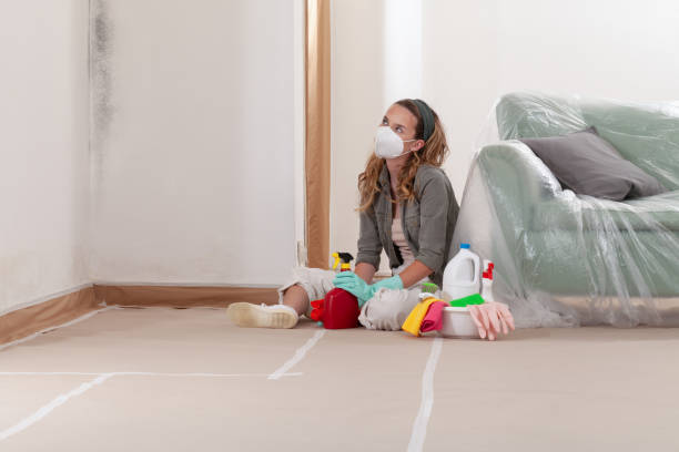 Reliable Mold Remediation contractor in Tilton, IL by 24 Hour Mold Removal